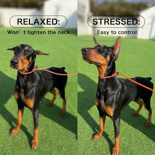 Slip Lead Dog Leash with 2 Spring (MintGreen / 5.0FT)