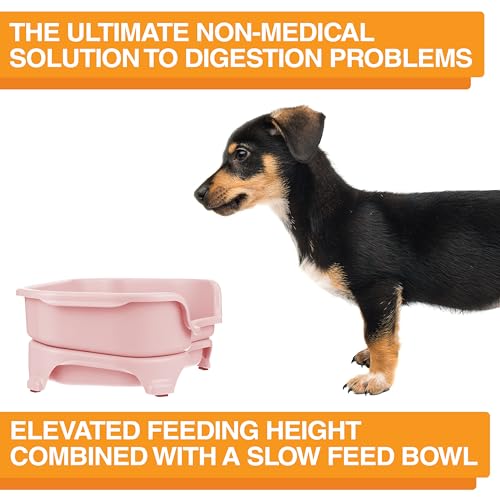 Express Mess Proof Dog Bowls Elevated for Small Breed (Small w/ Metal Slow Feed Bowl / Pink)