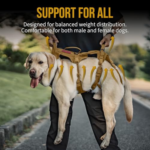 Multi Function Dog Lift Harness (Brown / Medium)