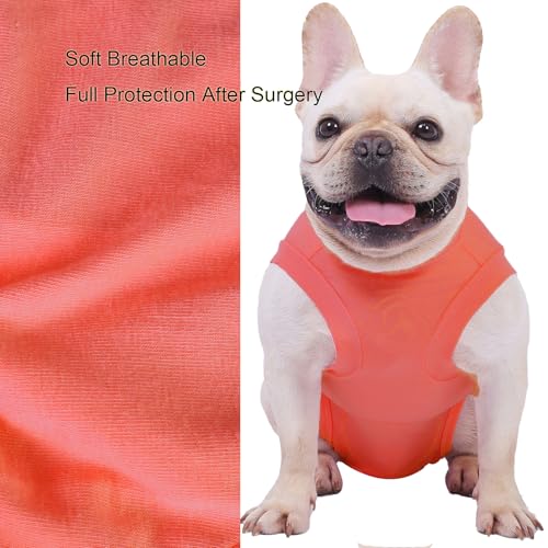 Dog Surgery Recovery Suit (2XL(Back 21- 23" Chest 26- 28" Weight 57- 80lb) / Light Red)