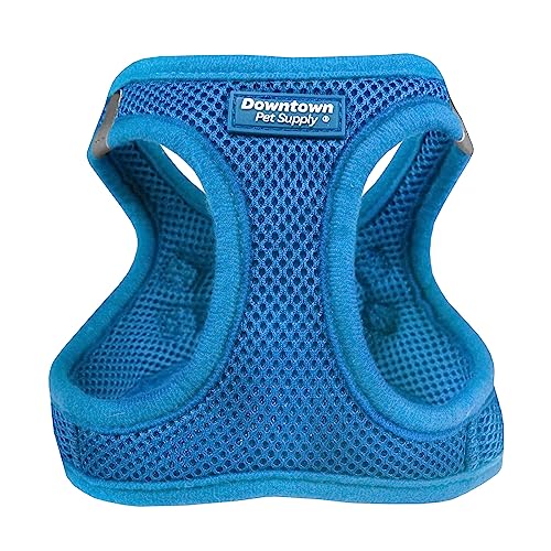 Step in Dog Harness for Teacup Dogs & Cats No Pull (XX-Small / Cobalt)