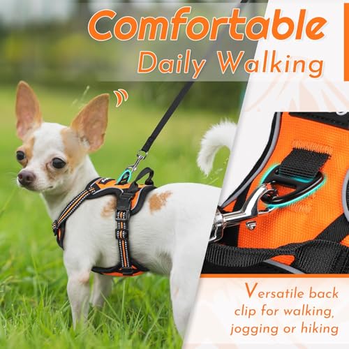 Dog Harness for Small Dogs (X-Small / Orange)