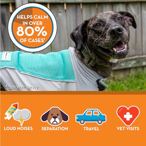 Breeze for Dogs Calming Anxiety Vest (Aqua / Large)
