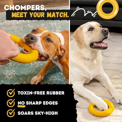 Indestructible Dog Chew Toy