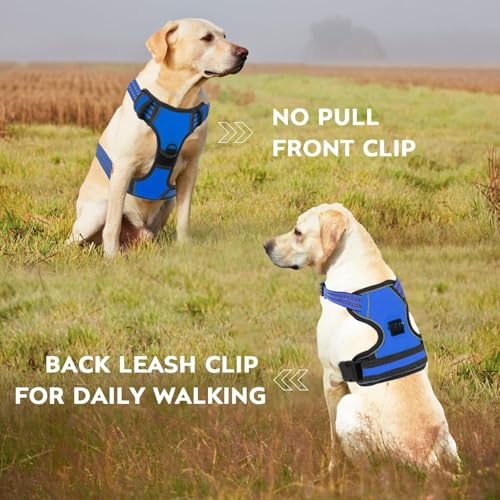 No Pull Dog Harness for Large Dog with Leash (Blue / L)