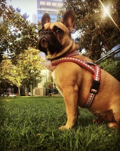 4 Colors Soft & Comfy 3M Reflective Jacquard Padded Dog Harness (Large(30" - 38.5") Chest Girth / Purple Grey)