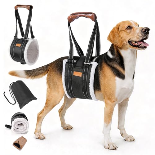 Dog Lift Harness (Black / M - Betwwen-Leg Spacing: 7.9"-10”)