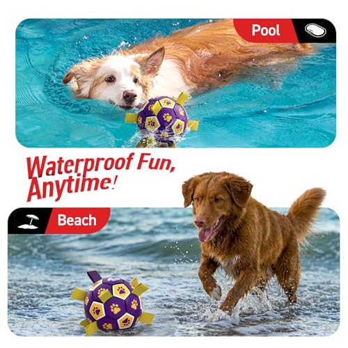 Dog Balls Toys (Purple Yellow / 6 Inch)