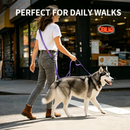 Hands Free Dog Leash by Kazazoo (Purple / L)