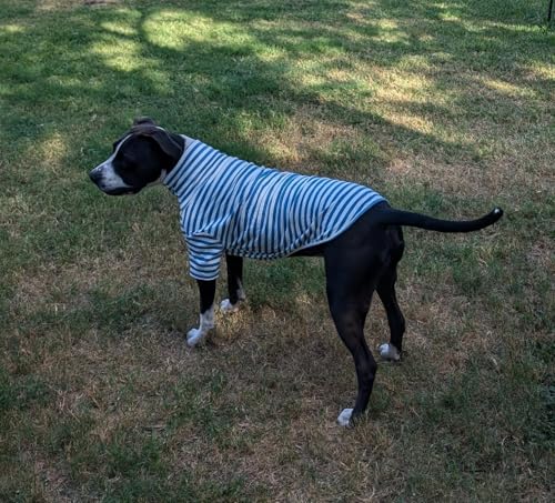 Turtleneck Dog Shirt Cute Doggie Embroidery Super Soft Dog Sweatshirt Stretchy Striped Puppy Pullover for Cats Small Medium Large Dogs (Blue Striped / 6X-Large)