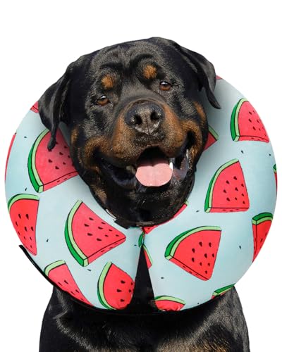 Inflatable Dog Cone (‌Melon / XL(21"-24"))