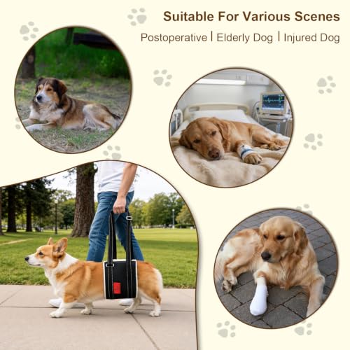 Leather Dog Lift Harness for Small Dogs (S)