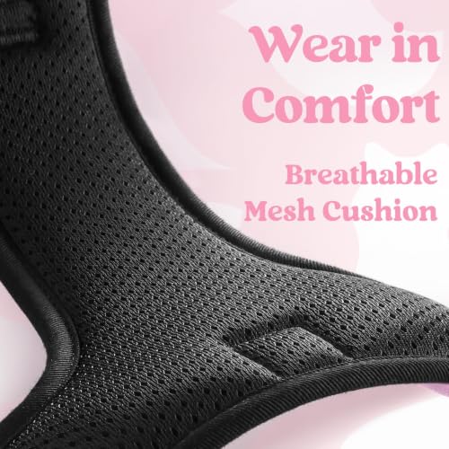 Dog Harness Small Sized (Small / Pink)