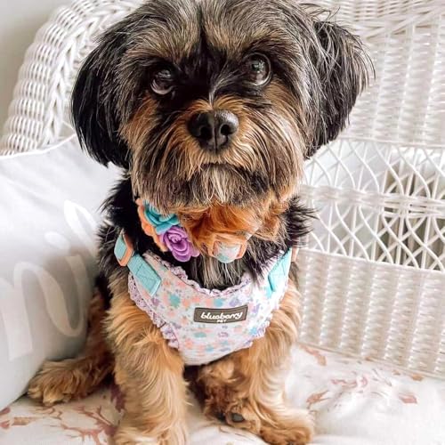 Soft & Comfy Made Well Lovely Floral No Pull Mesh Puppy Dog Harness Vest in Lavender ((14" - 16") Chest Girth (Pack of 1) / Lavender)
