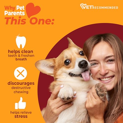 Strong Chew Femur Bone Dog Toy (Femur Bone / Large)