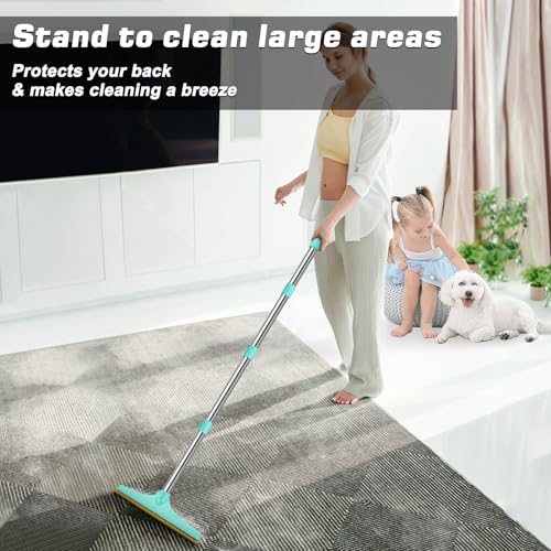 Carpet Rake for Pet Hair Removal (Blue)