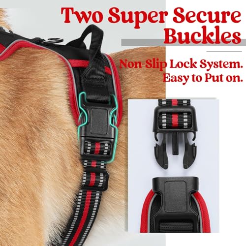 Dog Harness No Pull for Large Dogs with 2 Leash Clips (Large / Black & Red)