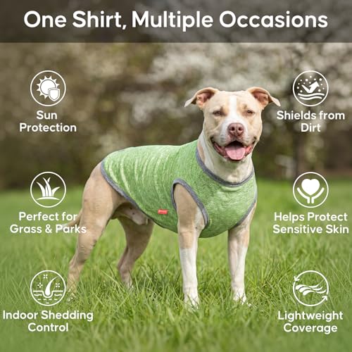 2Pack Dog Shirt for Small Dogs Sun Protection Tank Top for Summer (X-Large (18-30lbs) / 5# 2Pack (Green+Grey))