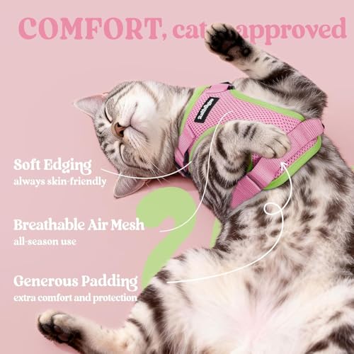 Cat Harness and Leash Set (S / Pink & Light Green)