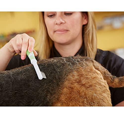 66060 Flea Comb with Durable Teeth & Comfortable Handle (Flea Comb)