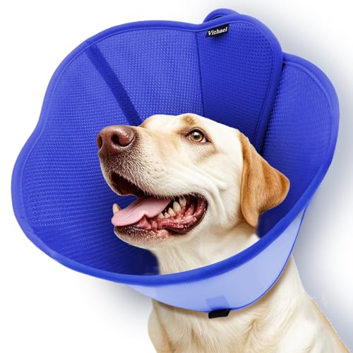 Dog Cone Collar for Large Medium Dogs (L (Neck: 15.4-17.3") / Blue)