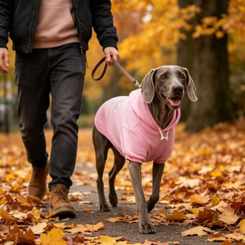 Princess Dog Hoodie (L (Back: 20",Chest: 28", Neck: 21") / Pink(Prinecss))