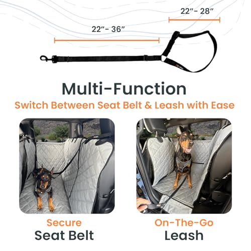 Headrest Dog Seatbelt