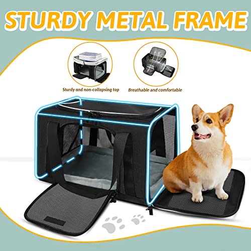 Small Pet Carrier 18" L x 11" W x 11" H Airline Approved (18.0"L x 11.0"W x 11.0"H / Black)
