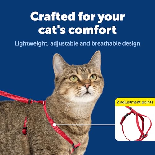Come With Me Kitty Harness and Bungee Leash (Large (Pack of 1) / Red)