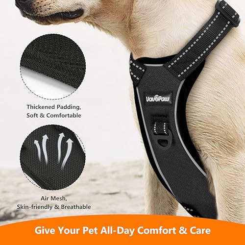 Dog Car Belt Dog Harness Reflective Strip & Adjustable Buckle (Carbon Black / XL (Chest: 24.4-34.7", Neck: 18.9-29.1"))