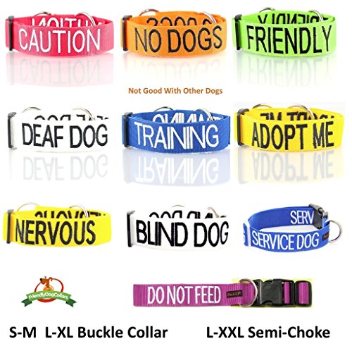 Limited Friendly Green Color Coded 2 4 6 Foot Padded Dog Leash