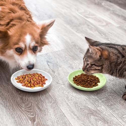 4 Pack Cat Food Bowl