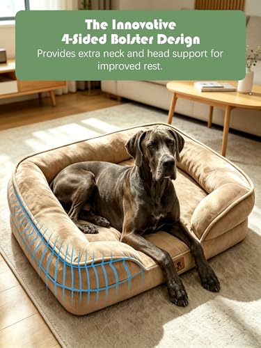Orthopedic Dog Bed with Sides (53.0"L x 42.0"W x 8.0"Th / Brown)