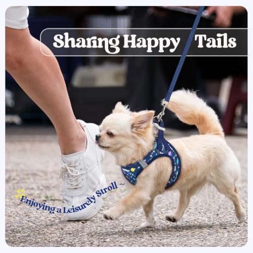 Dog Harness Small Sized and Leash Set (Navy Space Pups / Xs (chest: 13.3 - 15.5"))