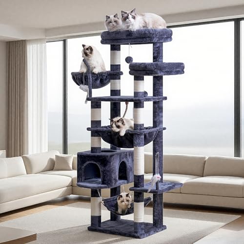Cat Tree 63'' Cat Tower for Large Cats (63 inch / Smoky gray)