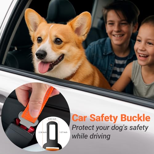 Dual Handle Bungee No (Orange)