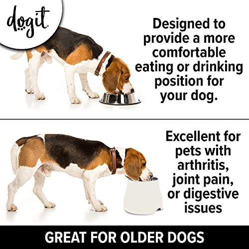 Elevated Dog Bowl for Large Dogs (Large / Off White)