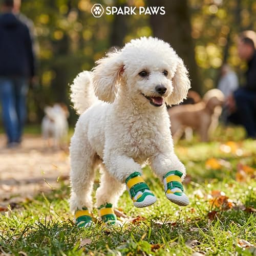 365 Dog Shoes (Green Yellow / Size 3: 2"x2.36"(W*L) (Pack of 4))