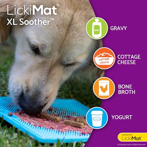 X Large Breed Soother Dog Lick Mat (Orange)