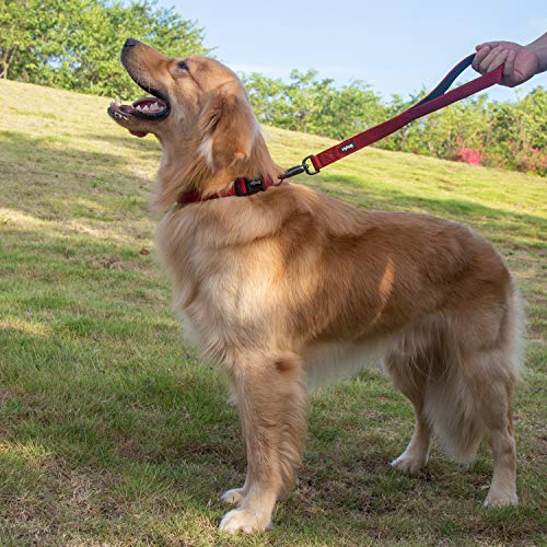 Short Dog Leash 18" (Red / 18 Inches)