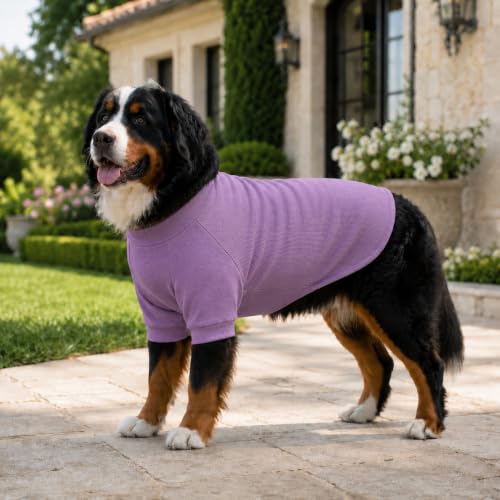 Ribbed Dog T Shirt Cotton Knitted Dog Sweaters for All Season Pet T (XL (for Medium Dog) / Taro purple)