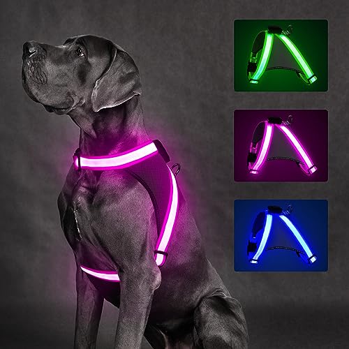 Light Up Dog Harness (Medium / Pink)