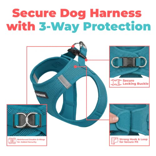 Voyager Step in Air Dog Vest Harness (Turquoise / XL (Chest: 20.5 - 23"))