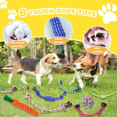 Puppy Chew Toys for Teething - PetSolution