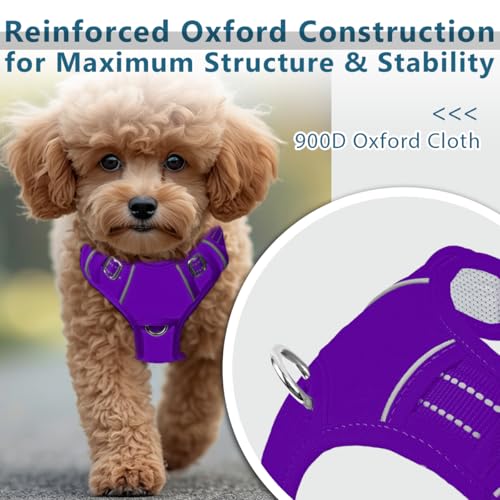 No Pull Dog Harness for Small Sized Dogs (Small(Chest:19.5-26”) / Purple-Oxford)