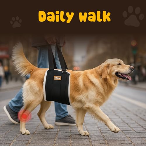 Dog Lift Harness (Small (S))