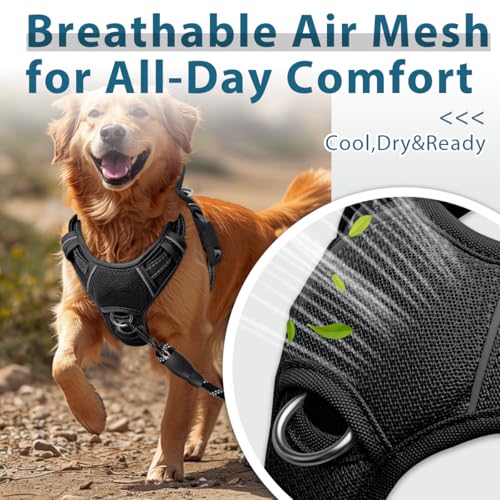 Dog Harness No Pull with ID Tag Pocket (Large(Chest:24.5-32.5") / Black)