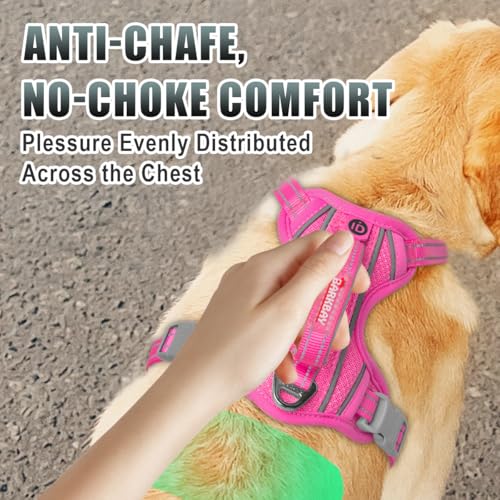 Dog Harness for Medium Sized Dog No Pull Dog Vest ID Tag Pocket (Pink / Medium)