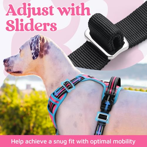 Dog Harness for Large (Pink & Blue / X-Large)