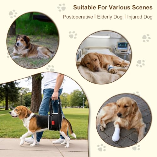 Dog Lift Harness (M)